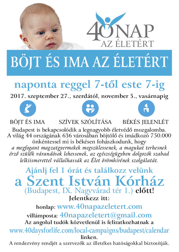 40napazeletert