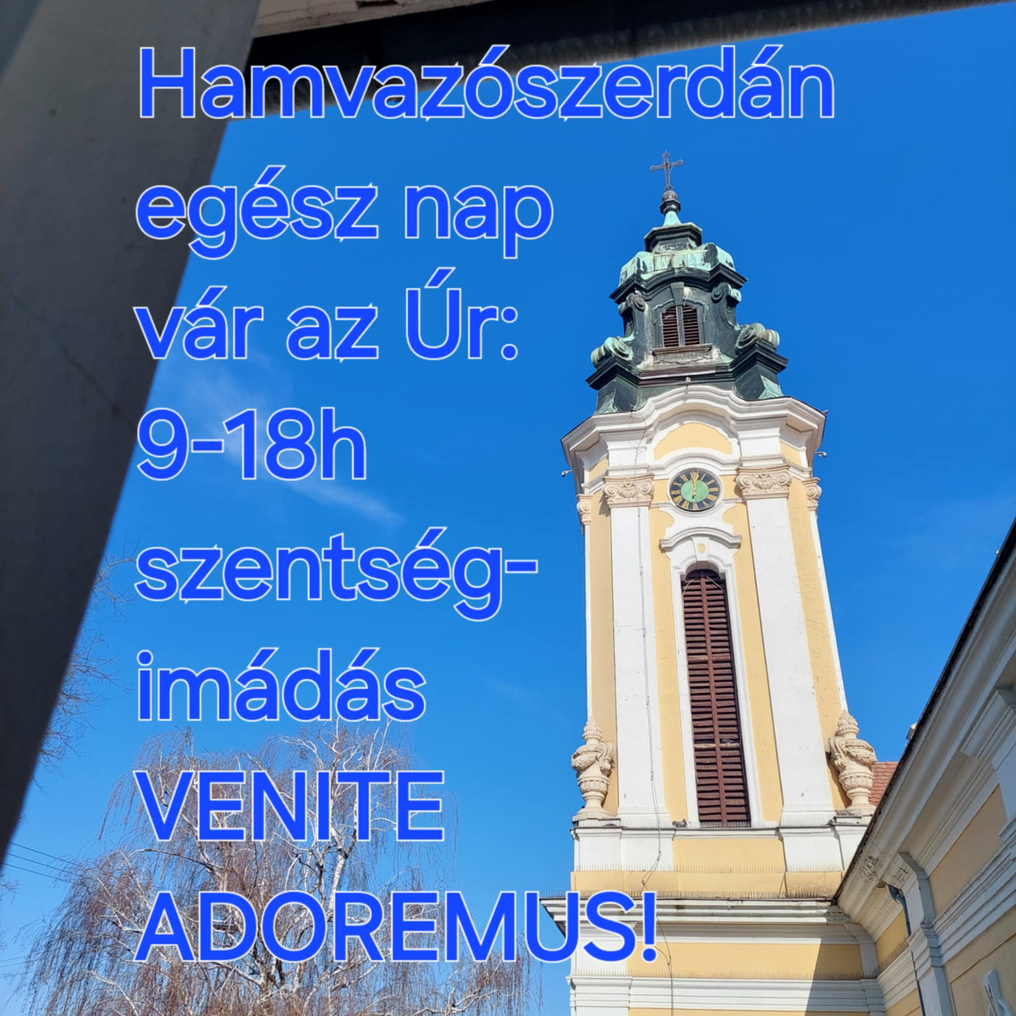 hamvazoszerda